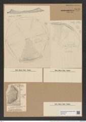Aulacodiscus amoenus var. hungaricus Pant. (de-Toni-Nr.: Genus 182, Species 4529) Zeichnungen Sammlung Grunow Nr. 8119 (NHMW-BOT-W0377467)